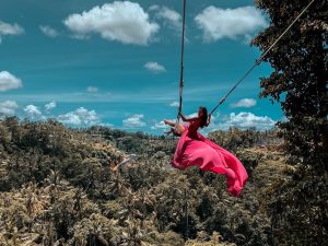 how much ubud swing entrance fees