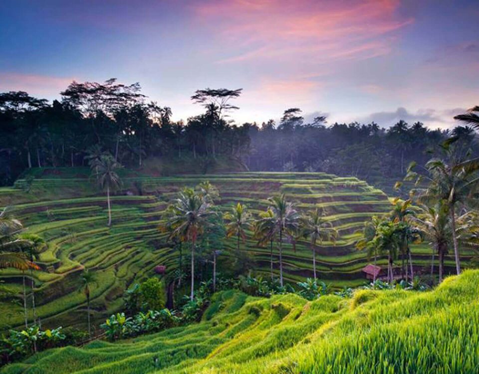 how much cost ubud taxi service for day tour and airport transfer