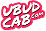 best taxi service in ubud with cheap price