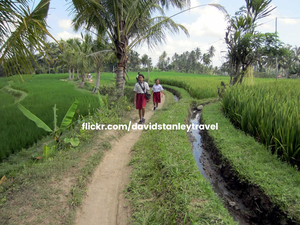 kajeng rice field ubud is a hidden gem located closed ubud center