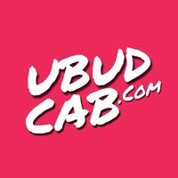 Ubud transport with best taxi fare In Bali